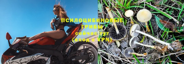 мдпв Медвежьегорск
