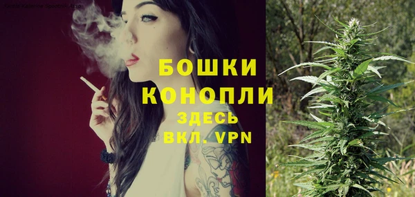 PSILOCYBIN Мегион