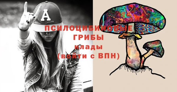мдпв Медвежьегорск